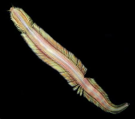  Keen-Eyed Killer Worms: Diving into the Deep Sea World of _Kinorhyncha_